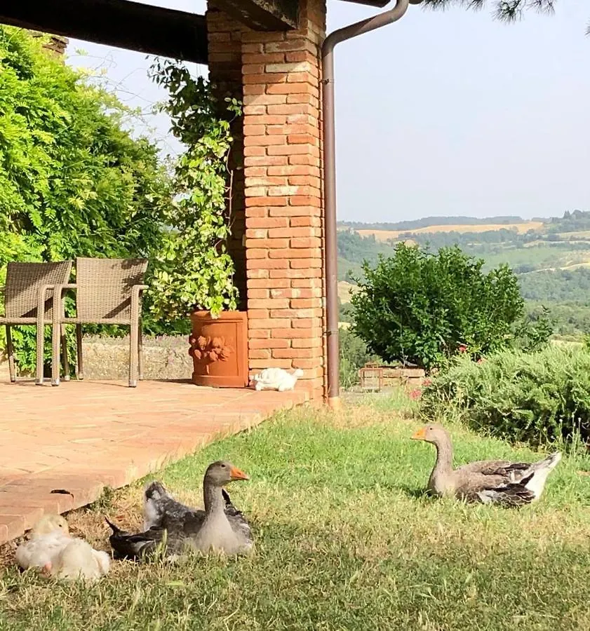 Agriturismo Sole Trequanda Agroturismo