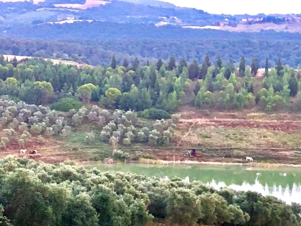 Agriturismo Sole Trequanda