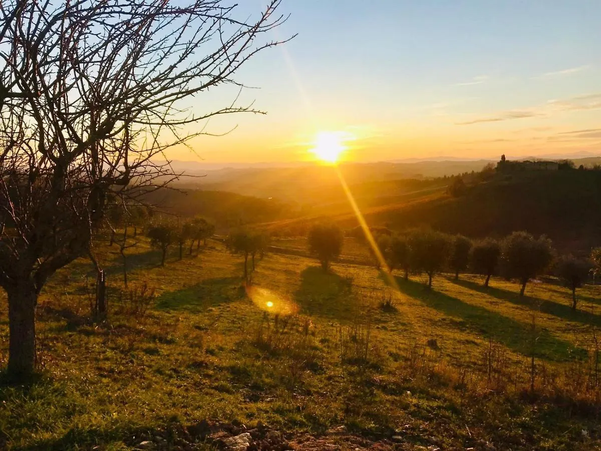 Agriturismo Sole Trequanda Italia