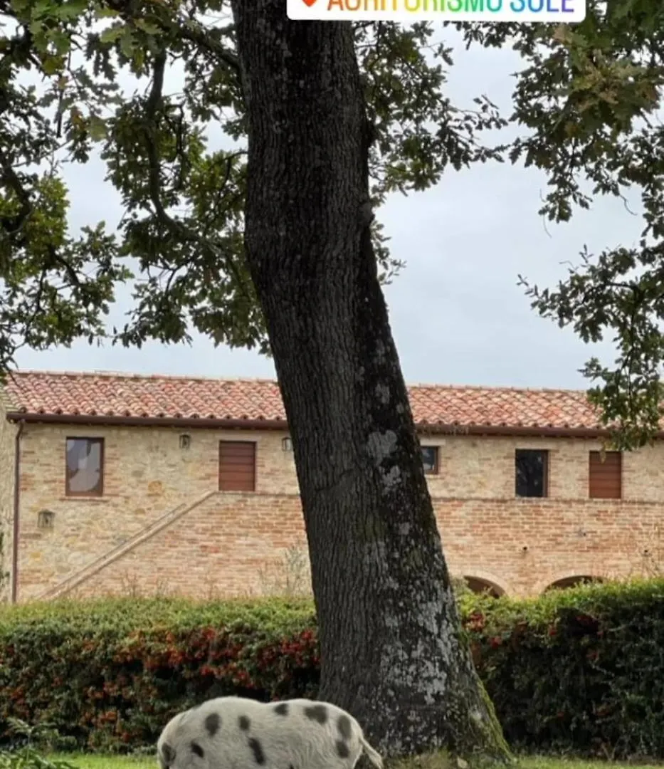 Agriturismo Sole Trequanda