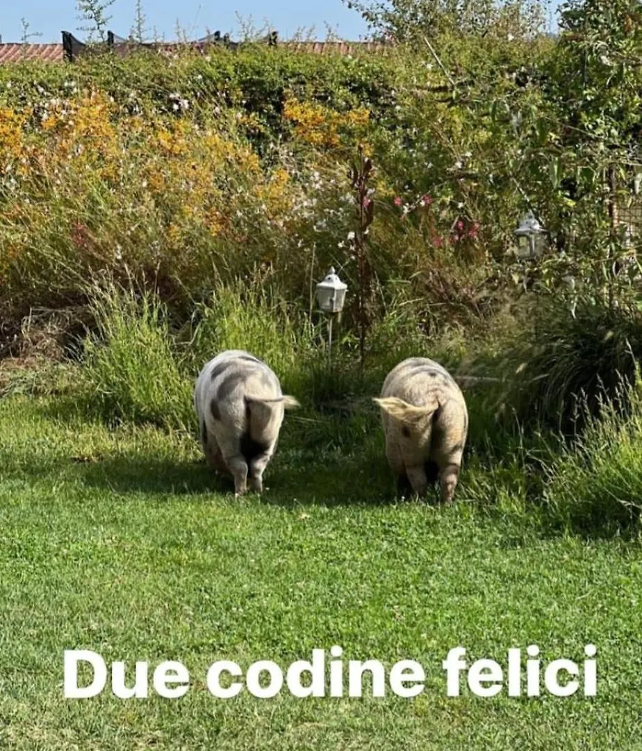 Alojamento de Turismo Rural Agriturismo Sole Trequanda