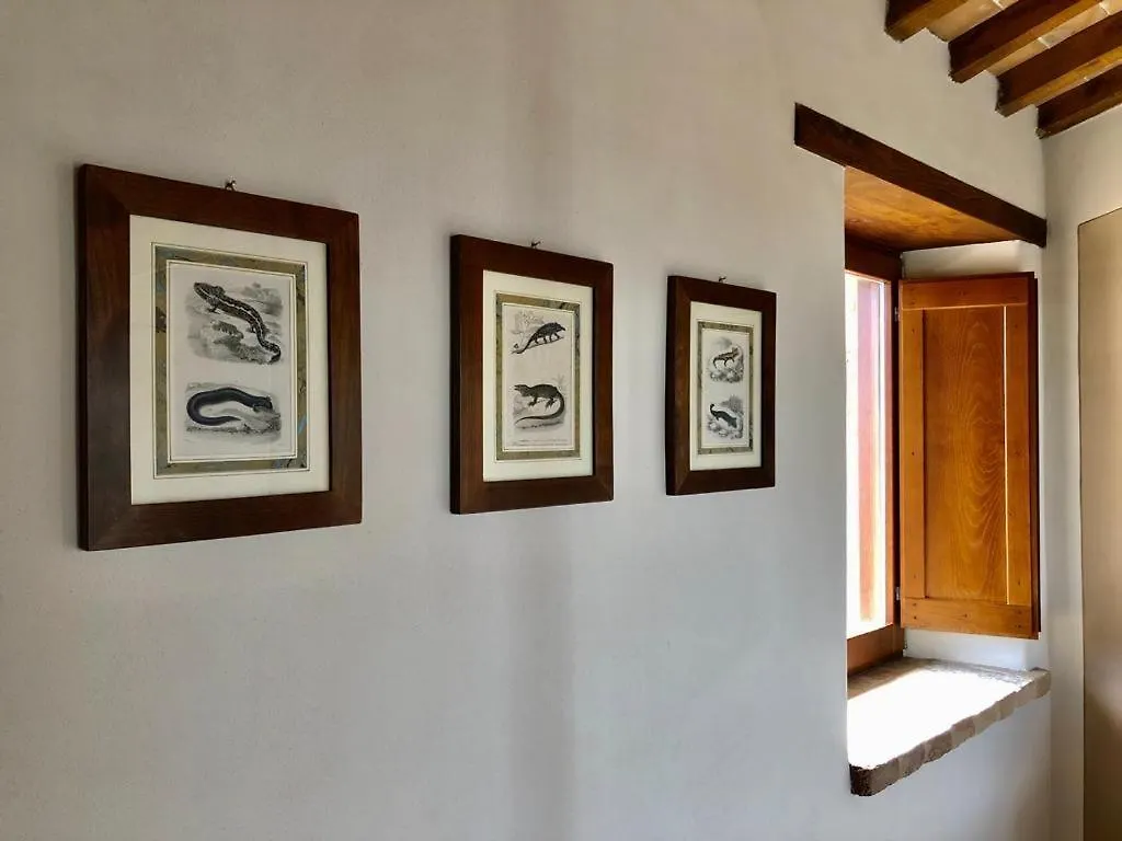 Alojamento de Turismo Rural Agriturismo Sole Trequanda